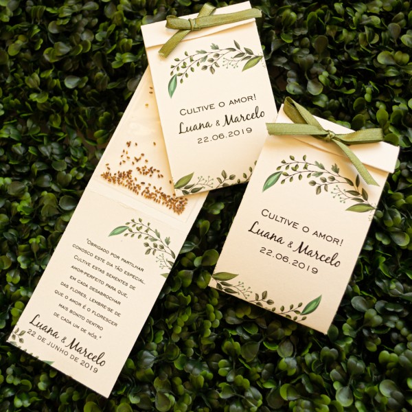 a saga das lembranças 4